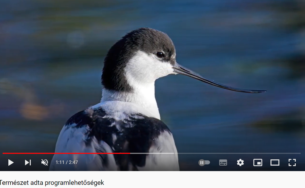 images/media/media15.png#joomlaImage://local-images/media/media15.png?width=1060&height=656